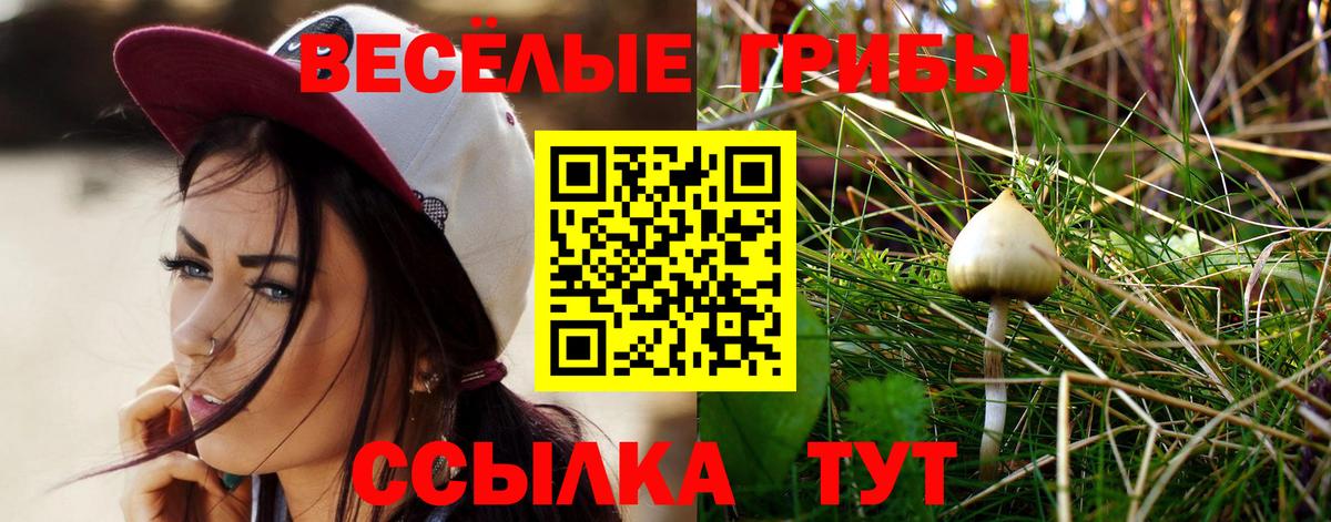 Псилоцибиновые грибы ЛСД Лыткарино